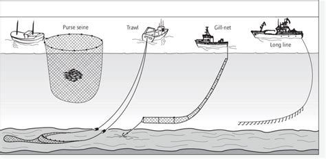 Fishing Strategy .